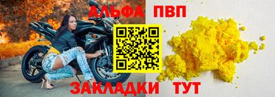 твердый Кингисепп