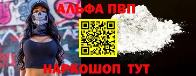 твердый Кингисепп