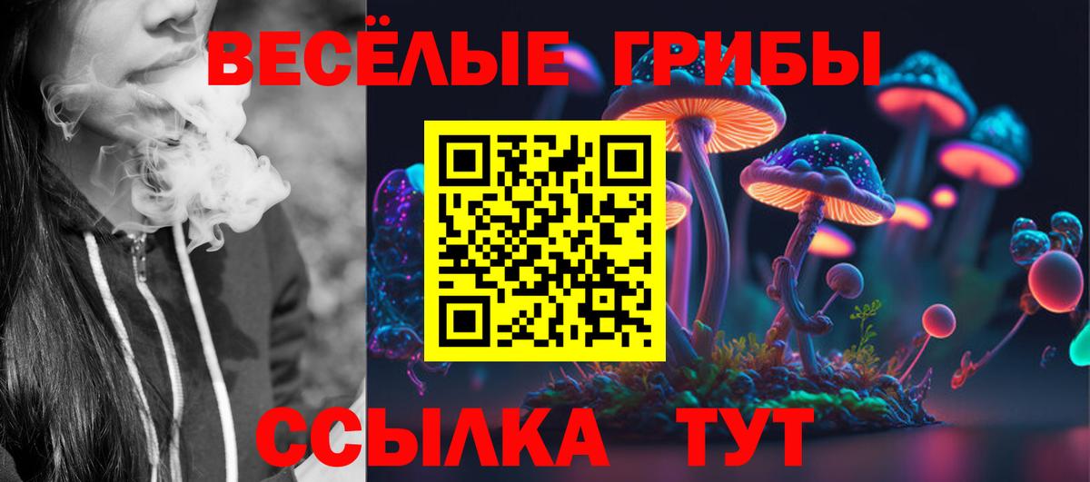 Псилоцибиновые грибы мицелий Кудрово