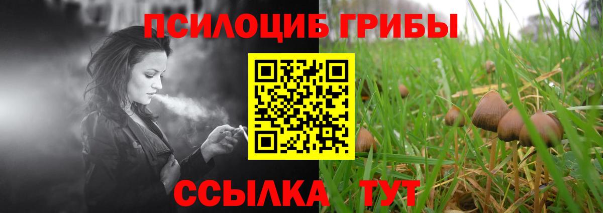 Кудрово  дарнет шоп  Вход с VPN  Псилоцибиновые грибы прущие грибы  Галлюциногенные грибы прущие грибы 